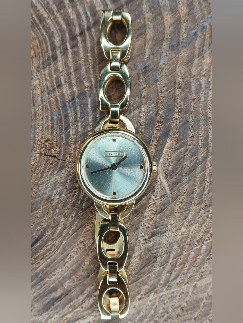 Coach Iris Women's Gold-Tone Link Bracelet Watch